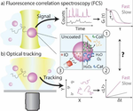 Modelling active particle motion from fluorescence correlation spectroscopy data